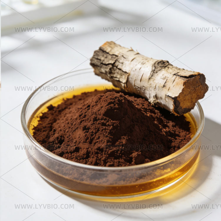 Chaga Mushroom Extract