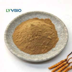 Ekstrakt z cordycepsu