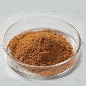 Cordyceps Extract