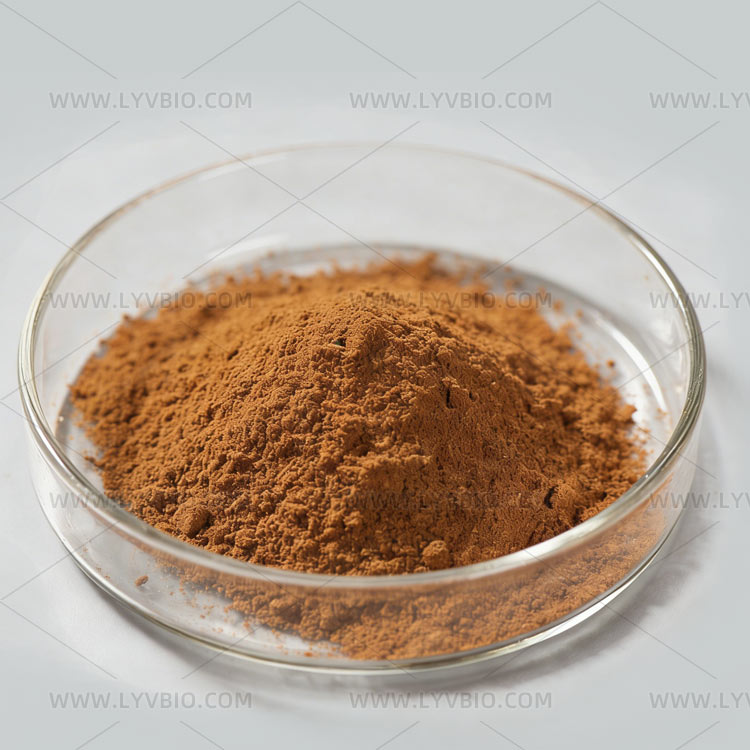 Cordyceps Extract