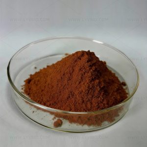 Reishi Mushroom Extract