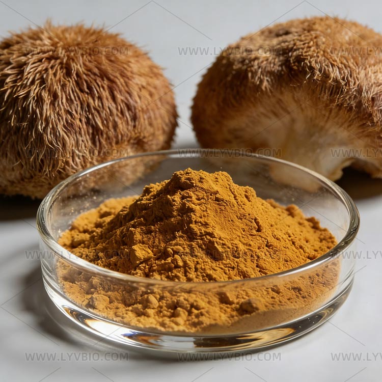 Lion’s Mane  Mushroom Extract