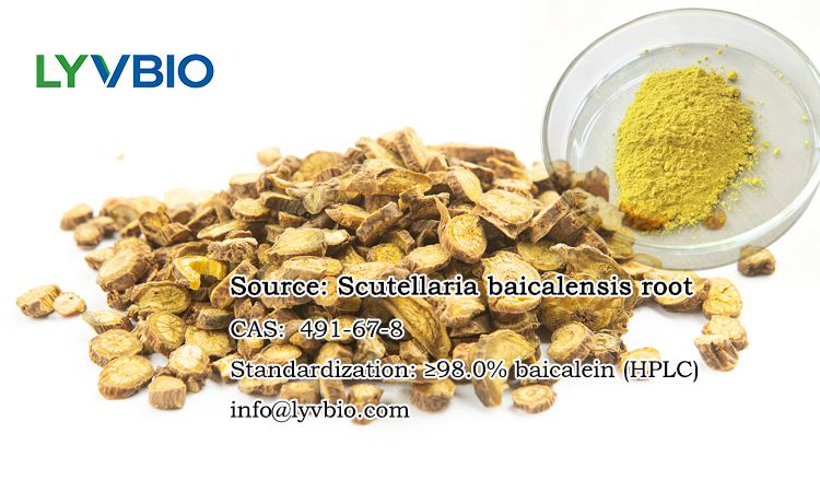 buy Baicalein
