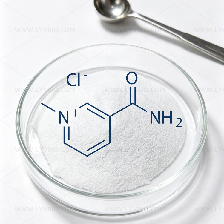 1-Methylnicotinamide Chloride