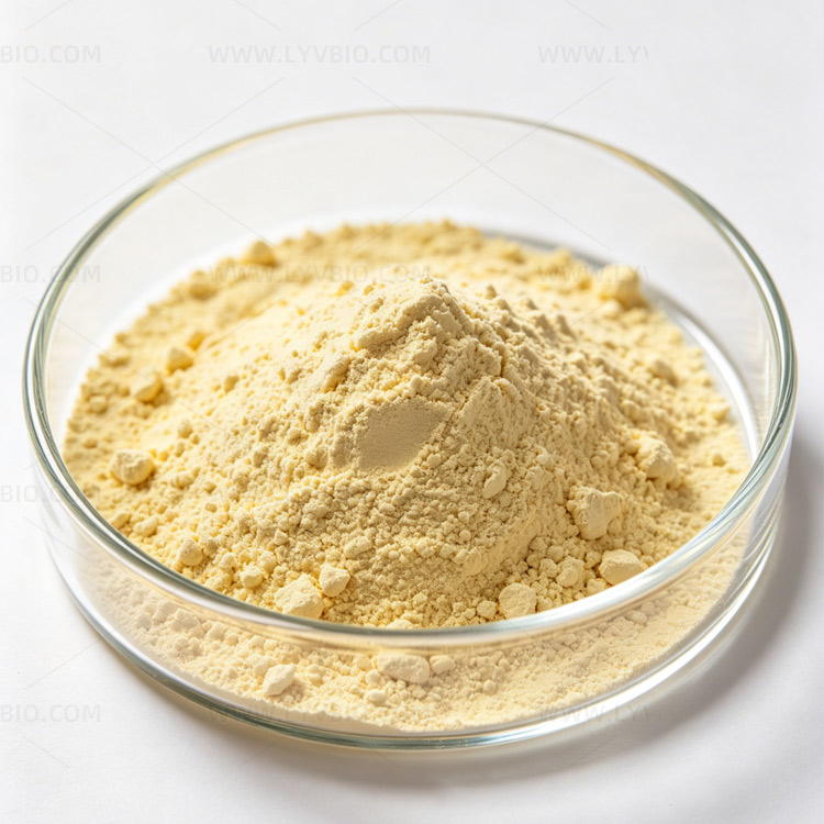 Ginseng Extract