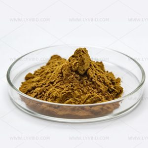 Maca Root Extract & Powder