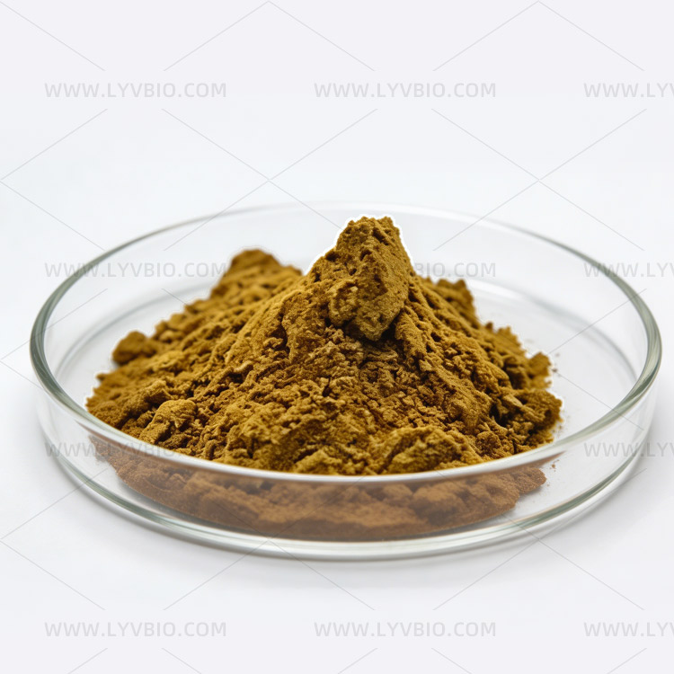 Maca Root Extract & Powder