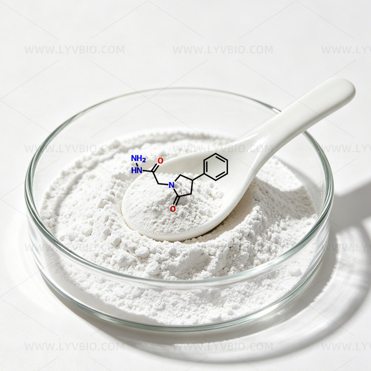 Phenylpiracetam Hydrazide