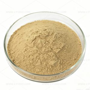 Quillaja Extract