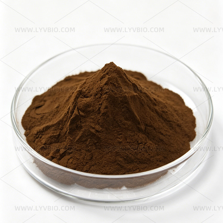 Shilajit Extract