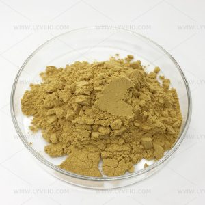 Tongkat Ali Extract