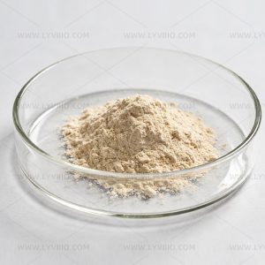 Snow Mushroom Extract