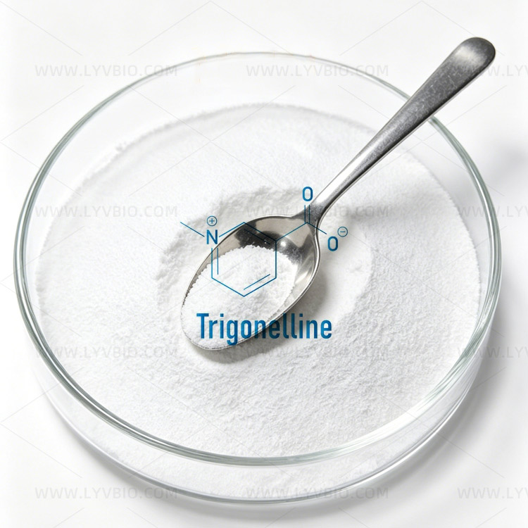 Trigonelline