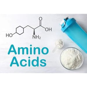 Amino acid