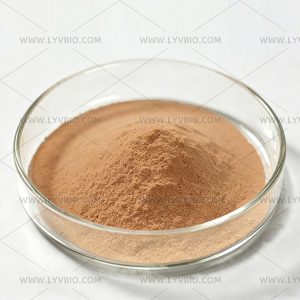 Shiitake Mushroom Extract Powder