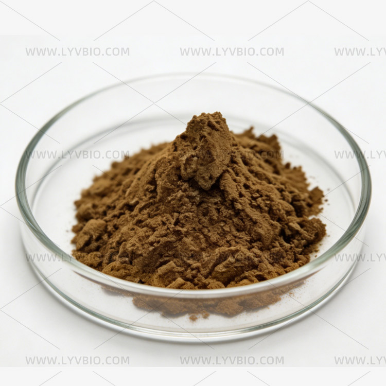 Tribulus terrestris Extract