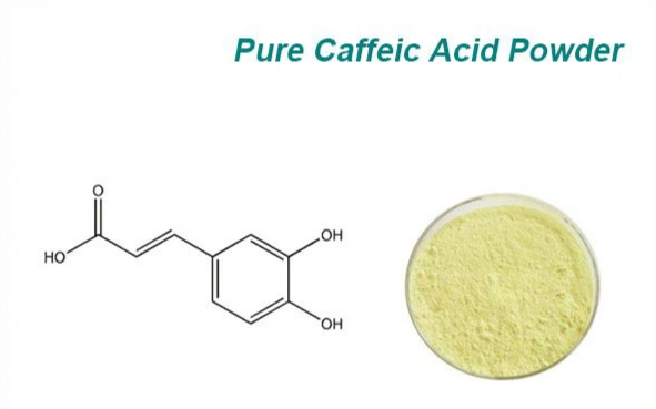 buy Caffeic Acid