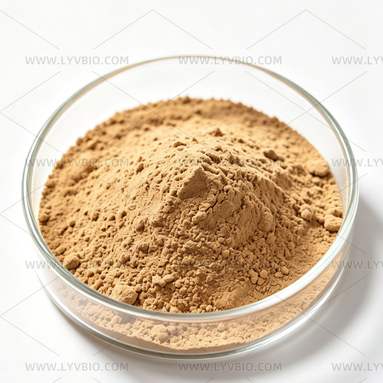 Coriolus Versicolor Extract