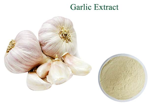 Allicin (Garlic Extract)