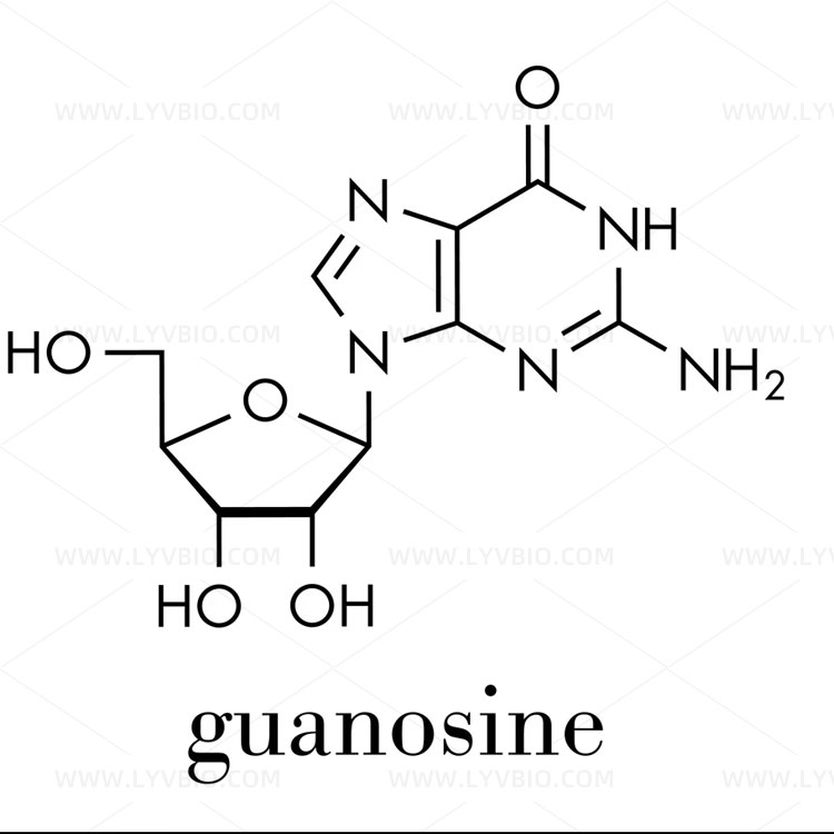 buy Guanosine