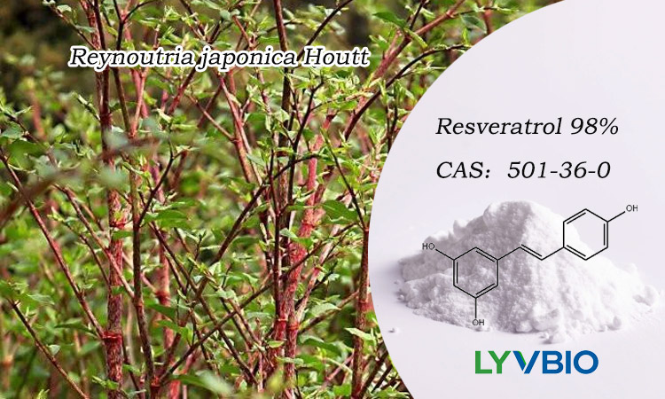 buy Resveratrol