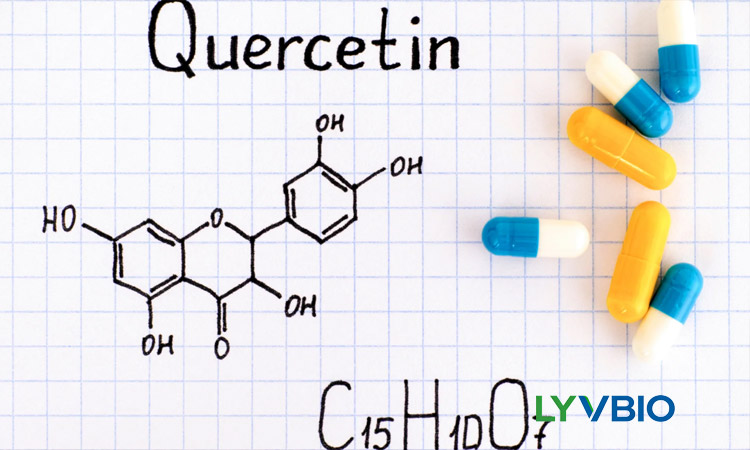Quercetin kaufen