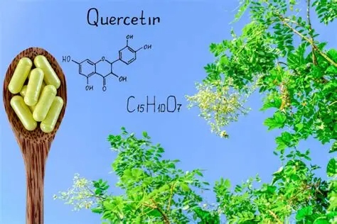 Quercetin kaufen