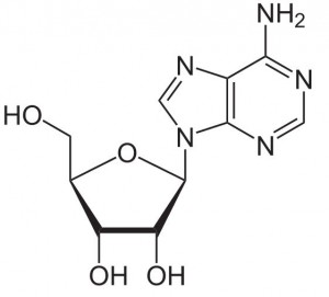 buy Adenosine