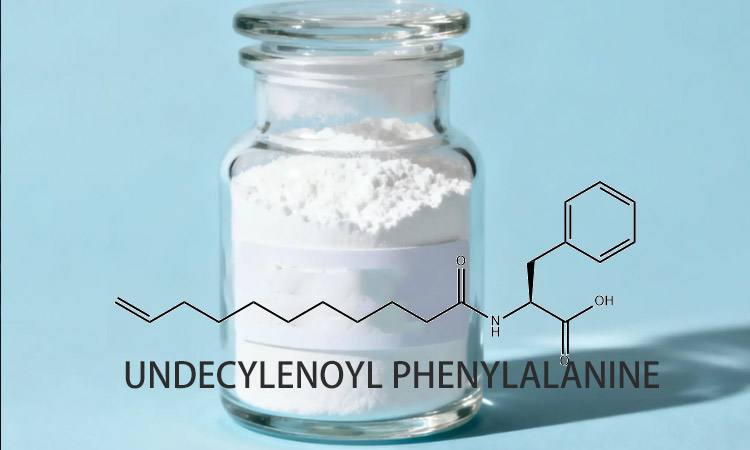 buy Undecylenoyl Phenylalanine