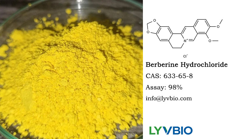 buy Berberine Hydrochloride