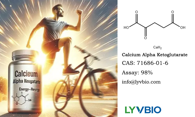 buy Calcium Alpha-Ketoglutarate