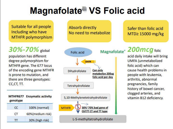 Calcium L-5-Methyltetrahydrofolate VS Folic acid