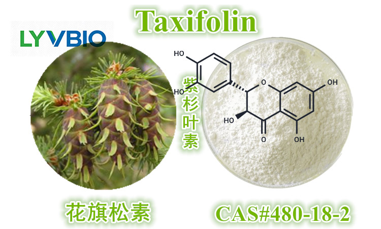 Taxifolin buy Taxifolin(Dihydroquercetin)