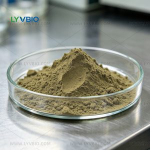 Estratto di chicchi di caffè verde