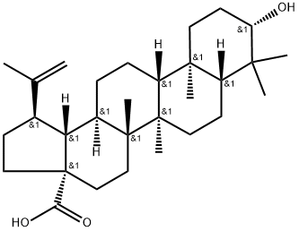472-15-1 buy Betulinic Acid