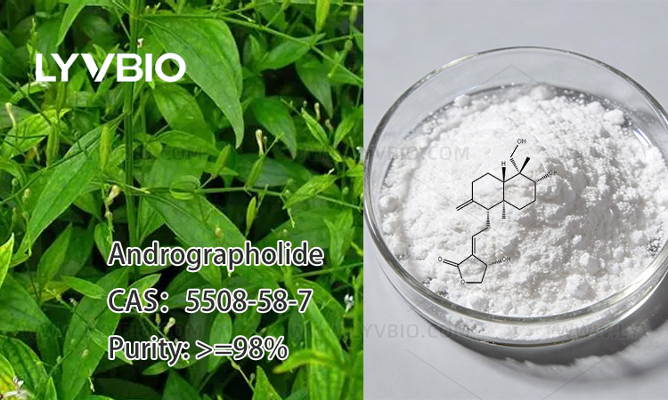 Andrographolide buy Andrographolide