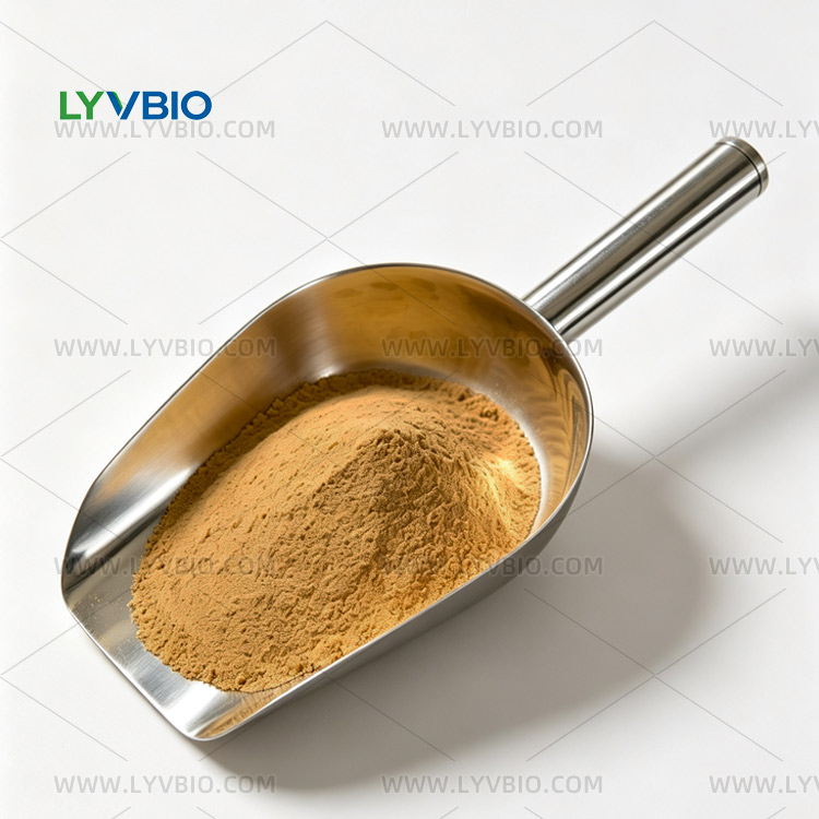 Astragalus Extract