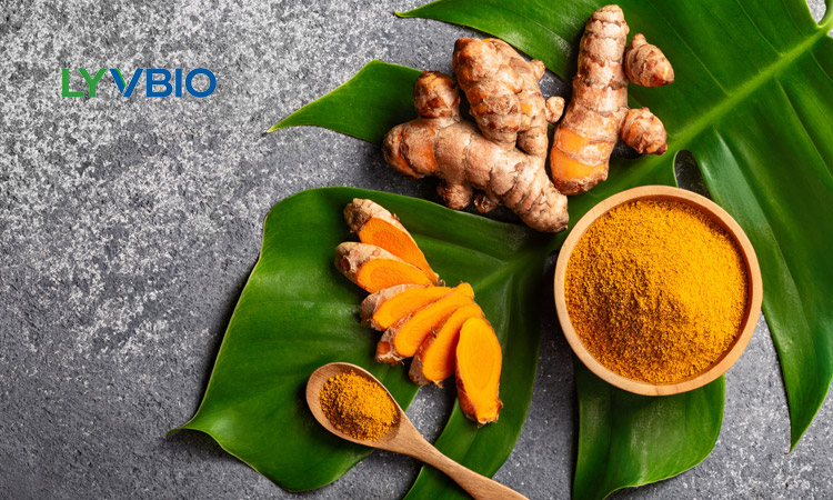 buy Curcumin