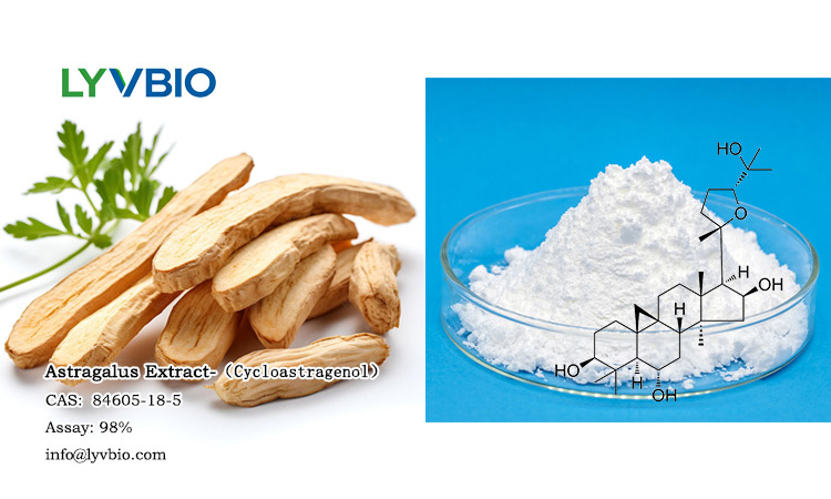 buy Cycloastragenol