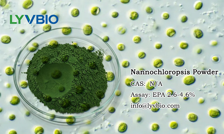 buy Nannochloropsis