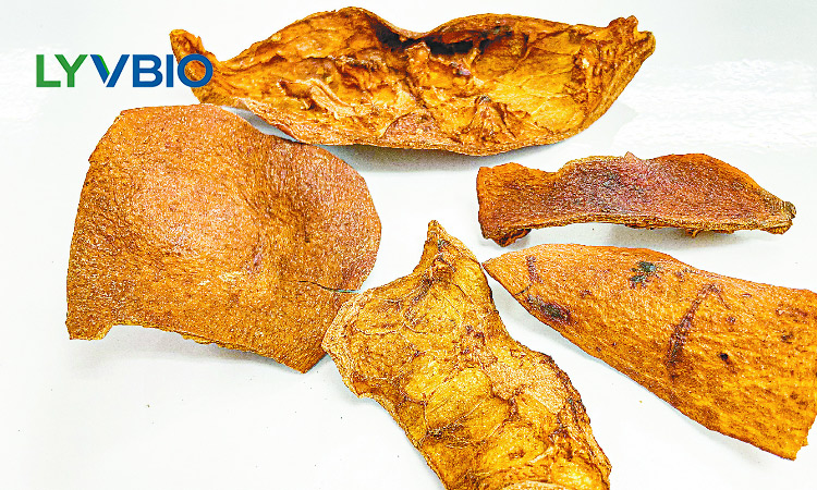 buy Pomegranate Extract Ellagic acid