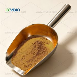 Chiết xuất từ cây Rhodiola Rosea