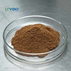 Bacopa Monniera Extract