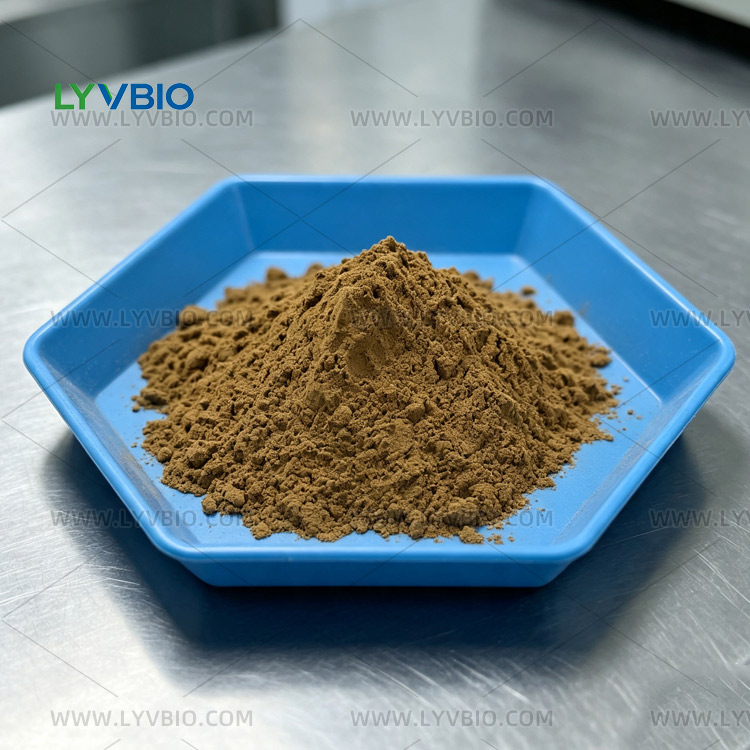 Synsepalum dulcificum Extract