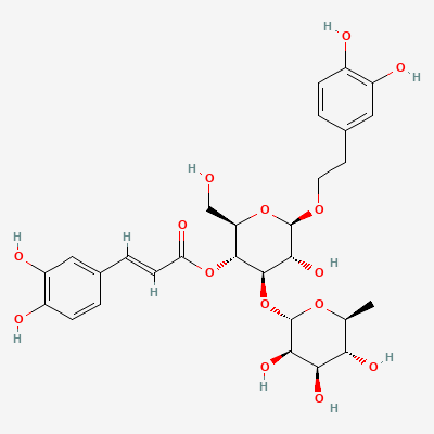 buy Echinacea Extract Echinacea Extract Structure