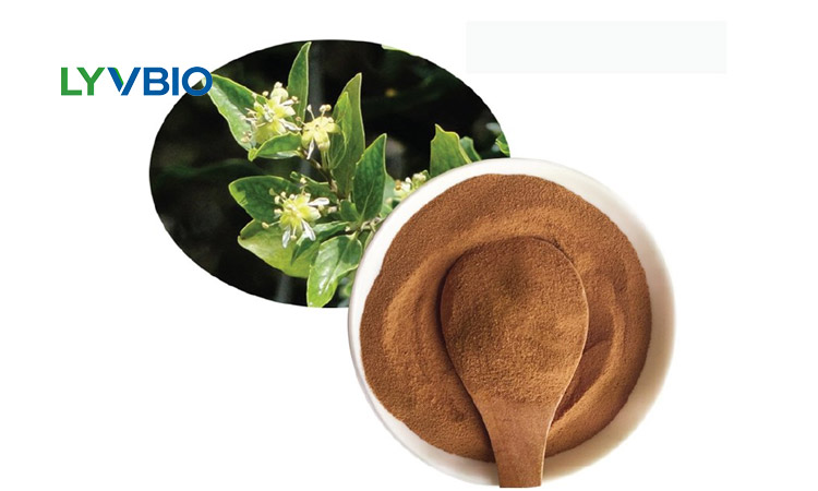 quillaja extract E999