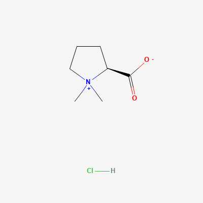 buy Stachydrine hydrochloride Stachydrine hydrochloride Structure