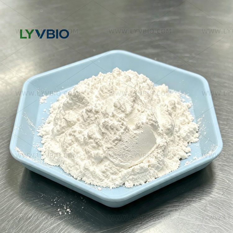 Saw Palmetto Extract