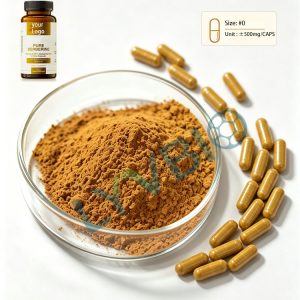 Vignette du produit