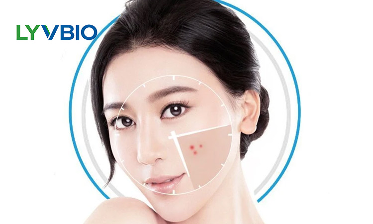 What Are The Functions Of Hydrolyzed Sponge In Cosmetics?